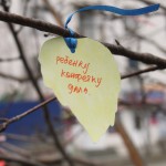 Такими листочками, с написанными на них сделанными добрыми делами, было завешано одно из деревьев возле филиала УрФУ. Фото: Алеся Копылова