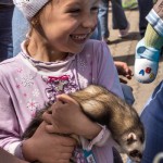 \"Доброе лето\": в зоопарке успехом пользовались хорьки...