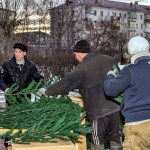 К концу этой недели елка должна быть собрана и сдана "под ключ". Фото: Вадим Аминов, "ВК"