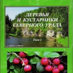 Шестая книга А.Ф. Меркера