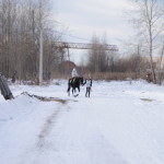 Фото: Алеся Копылова, "ВК". 