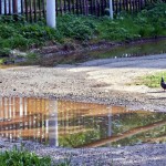 Последствия аварии. Фото: Вадим Аминов, "Вечерний Краснотурьинск"