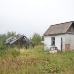 Заброшенный участок в коллективных садах - скорее исключение, чем правило. Фото: Александр Сударев, "Вечерний Краснотурьинск"