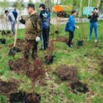 Работники БАЗа в прошлом году высаживали деревья в Парке влюбленных в рамках экологического марафона РУСАЛа «Зеленая волна». Фото: Александр Казаков